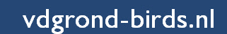 vdgrond-birds.nl